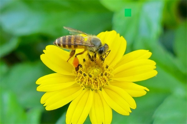 比喻教师的句子54句