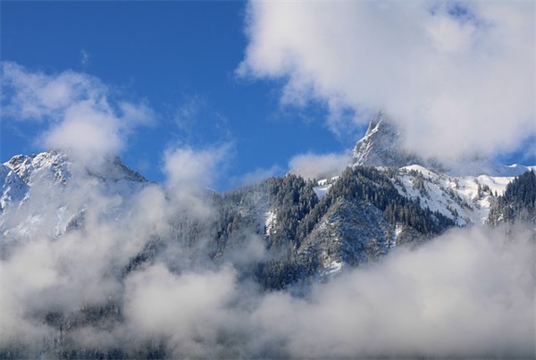 表达心情很累的句子