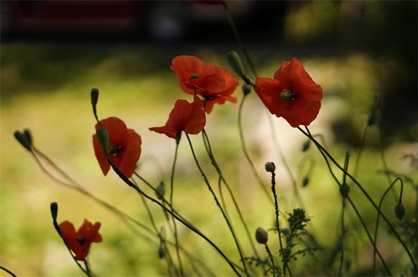 简短深入人心的文案句子 简短深入人心的句子