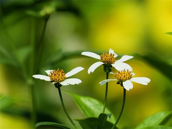 以人生道路有关的句子