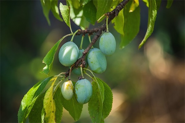 天气热的说说朋友圈
