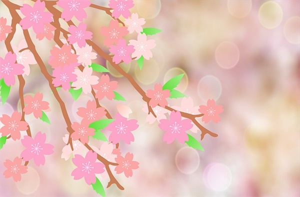 《刀疤豺母》读书笔记