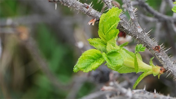 期中考试的反思作文300字