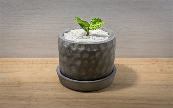 父母寄语精选20字一年级-53句