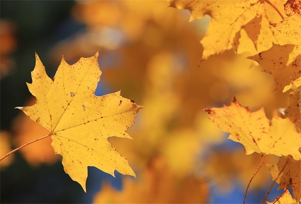 高考前寄语或鼓励的话简短-68句