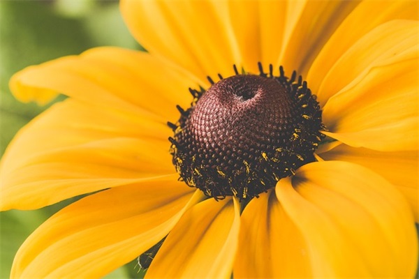 除夕夜句子集锦200句
