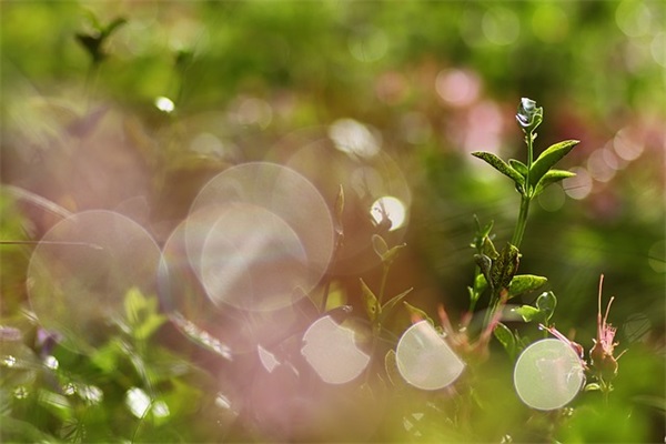 发女朋友晚安温馨句子(汇总34条)