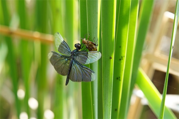 真心话句子200句
