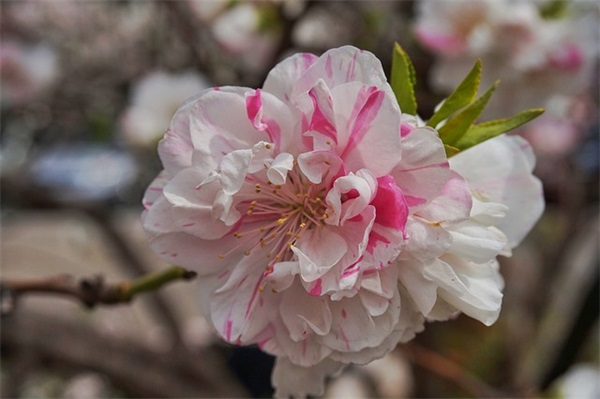 女生霸气微信名(78个)