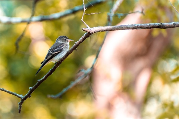 女生伤感微信网名(78个)