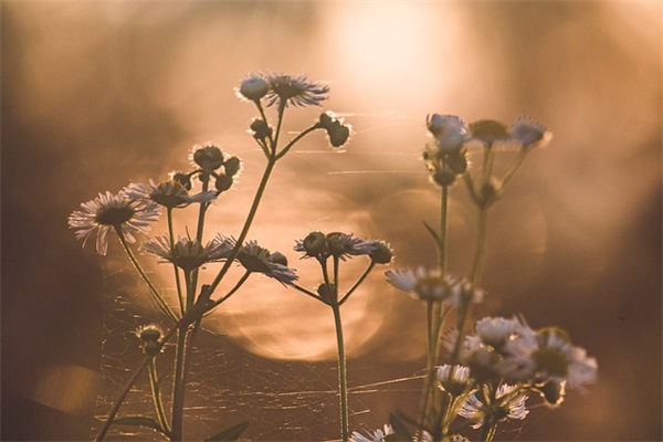 微信关于水的网名大全(共78个)