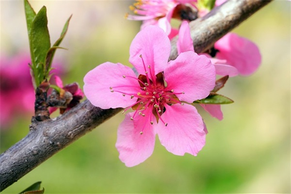 最新2026小学新学期开学标语