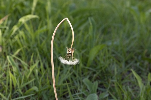 勤俭节约宣传标语口号2026最新