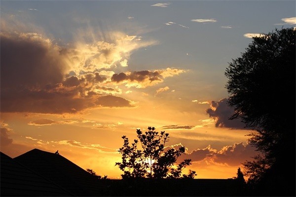 2025双十一冲刺销售业绩霸气简短经典口号