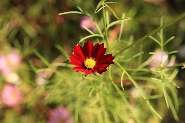餐饮晨会激励口号大全87句