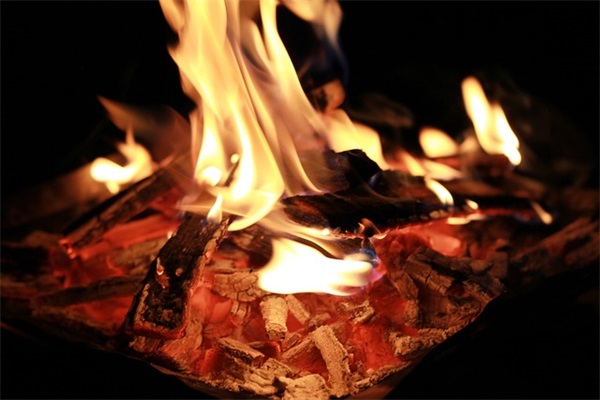 法律口号大全83句