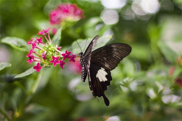 2025年高考简短霸气励志口号(高考励志口号简短霸气16字)