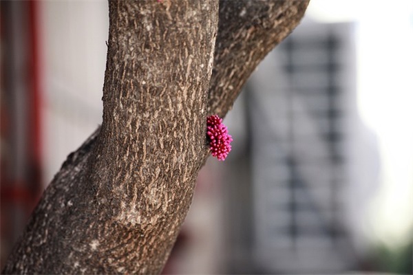 2026年公司祝福语大全40句