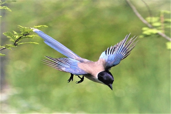 结婚长辈祝福语大全50句