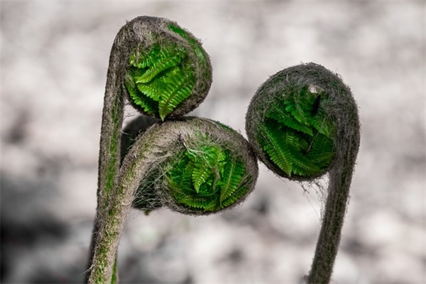 给自己生日祝福语独特