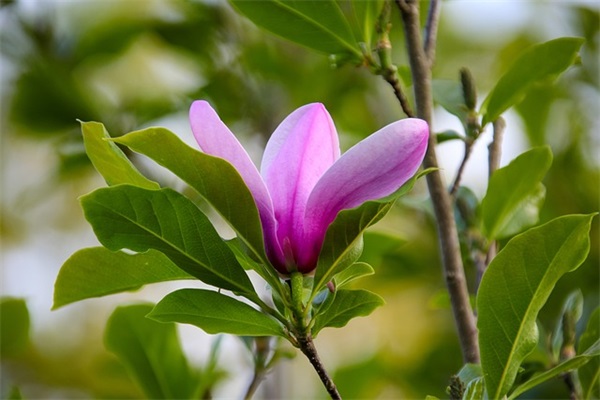 简短优美的英文祝福语 一句美好的英语祝福语