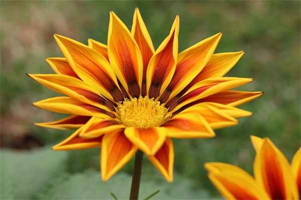 最新的老总生日祝福语大全 祝老总生日祝福语