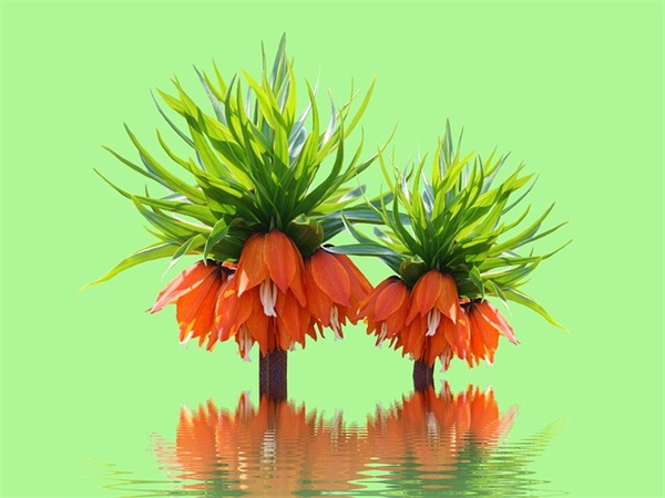 身体祝福语四字成语45句