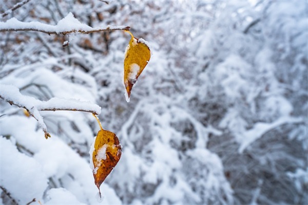 国庆节的欢乐祝福语