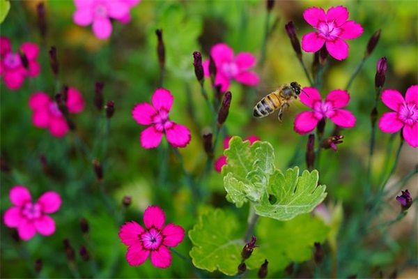 送红包新婚祝福词 红包新婚祝福语简短