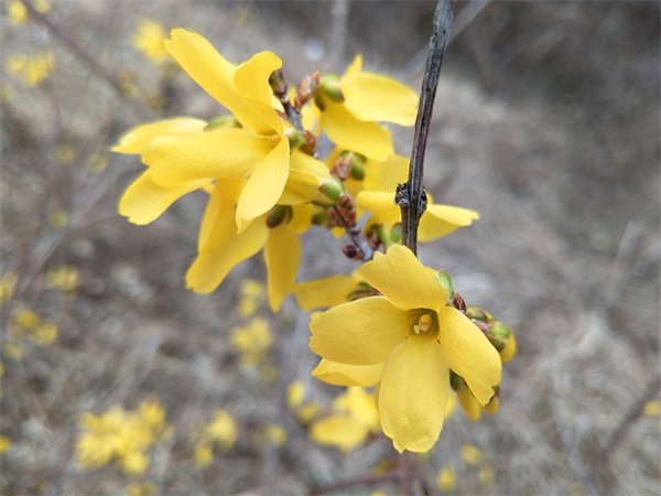 生活事业祝福语 祝事业生活的祝福语