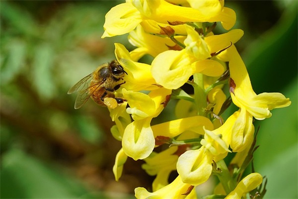 唯美的祝福语15字以内 新年祝福语15字以内