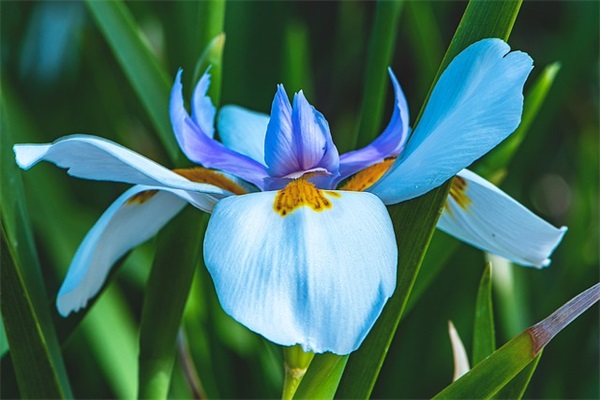 小孩百天红包祝福语82句