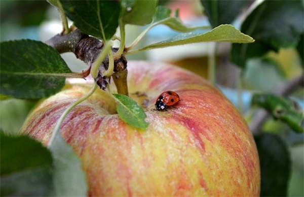 公司开业祝福短信