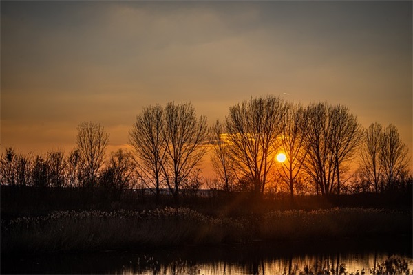 班级口号16字押韵初一87句