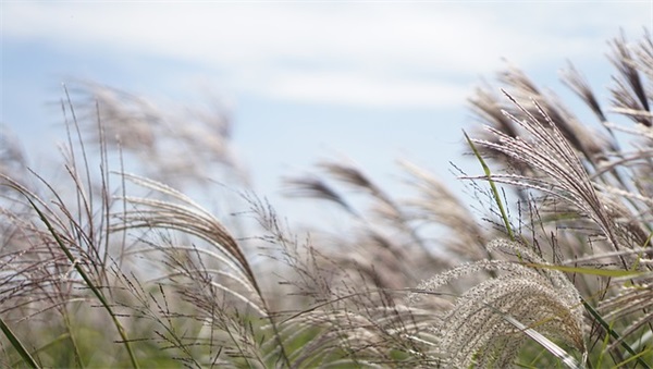 工厂企业标语106句