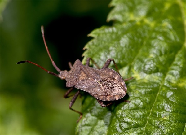 学校宿舍楼道标语 学生宿舍楼道标语