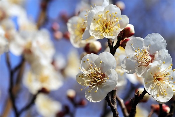 潇洒人生的句子80句