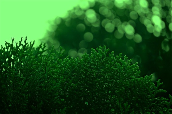 分手短句子句句心痛 伤感分手句子