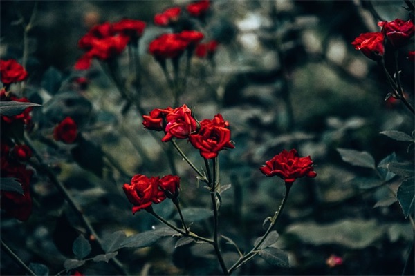 简短的奋斗励志的句子