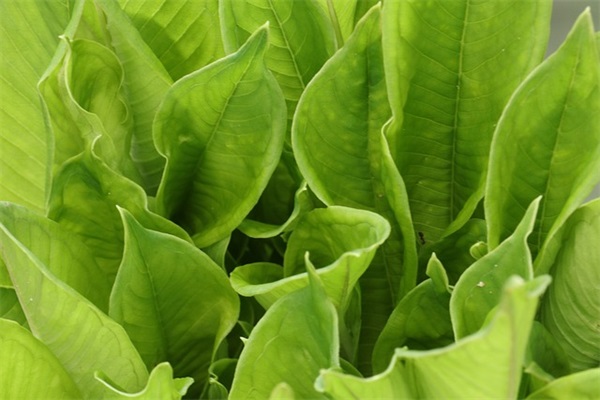 关于灾情勤俭节约的励志话语句子