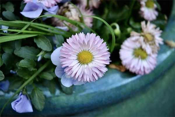 描写形状的句子28句