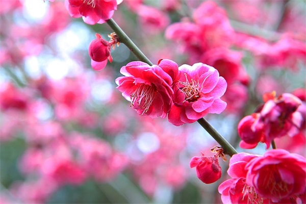 不想再玩收心养性的句子