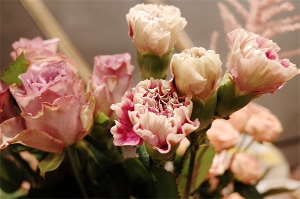 适合发每日一善的句子 适合发每日一善的文案