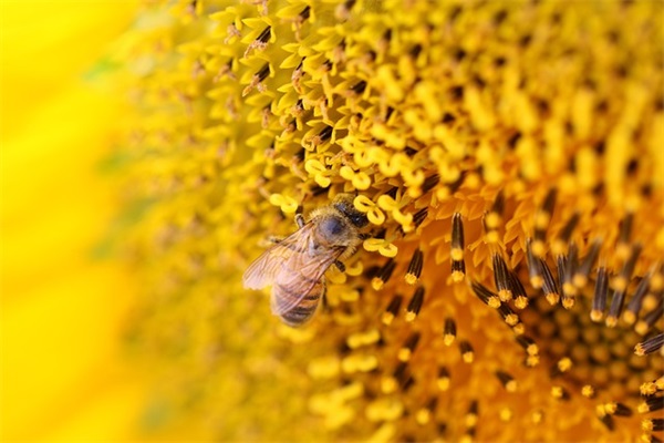 关于珍惜时间的好句子