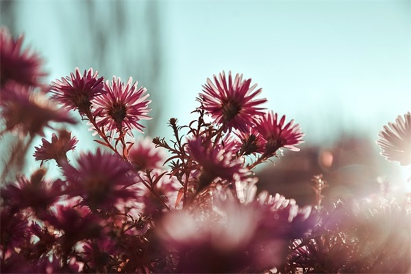 金钱看透人心的句子 金钱见证了人心的句子