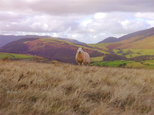 形容离别不舍的话 对人不舍的句子
