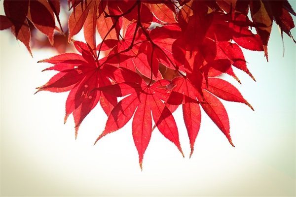 感悟生活点滴的句子 形容记录生活点滴的句子