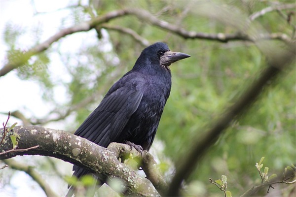 小红书充满正能量的励志句子(别说读书苦那是你看世界的路)