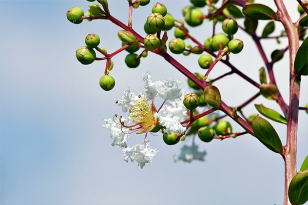 健康才是最重要的正能量句子(身体健康最重要的句子)
