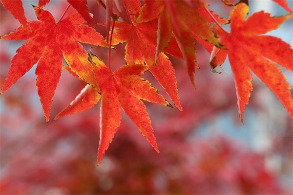 41岁生日祝福语 41岁生日快乐祝福语